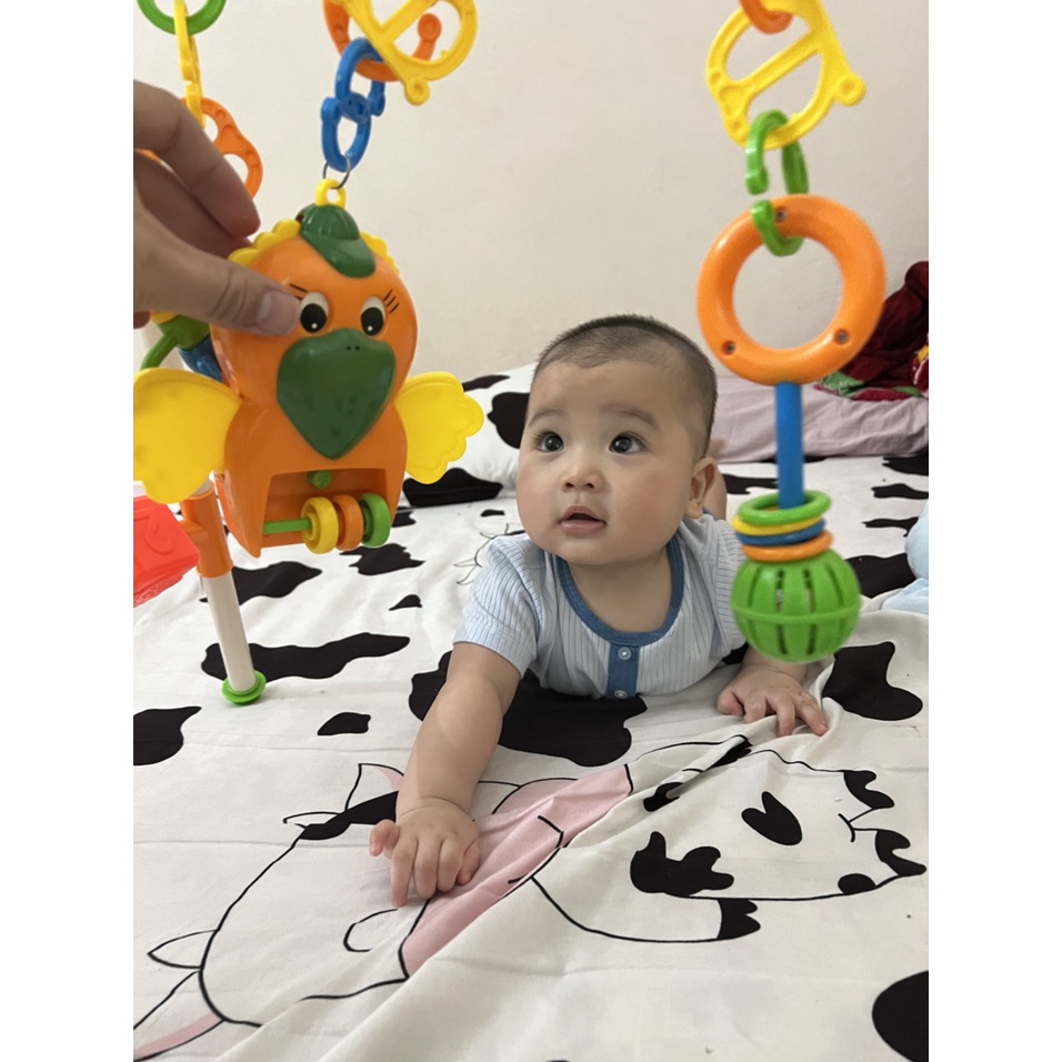 KỆ CHỮ A PHÁT NHẠC HÌNH CON VẸT GIÁ TỐT