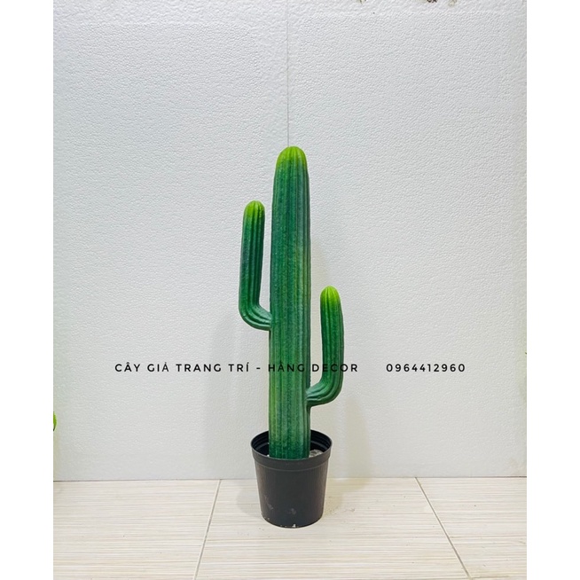 Xương rồng giả trang trí 75cm hằng decor