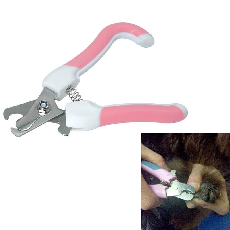 Bộ Kìm và Dũa Cắt Móng Cho Chó Mèo - Thú Cưng