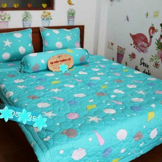 Bộ ga gối cotton thắng lợi  4 món màu xanh