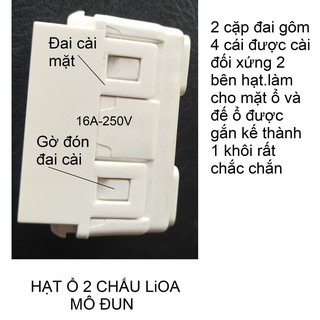 Ổ ĐƠN 2 CHẤU LiOA - MÔ ĐUN.