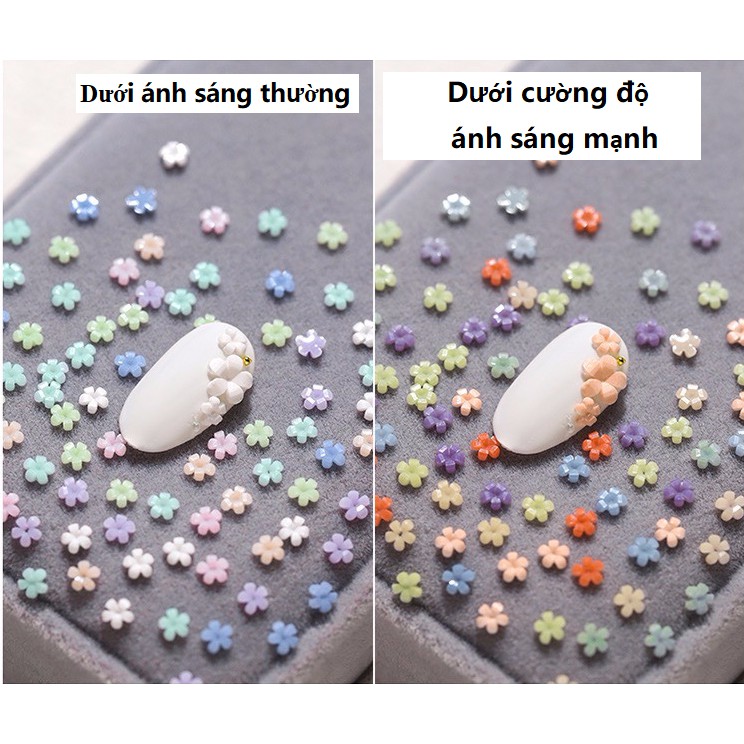 Hoa Nhí Đổi Màu Trang Trí Móng Phong Cách Nhật Bản Mới