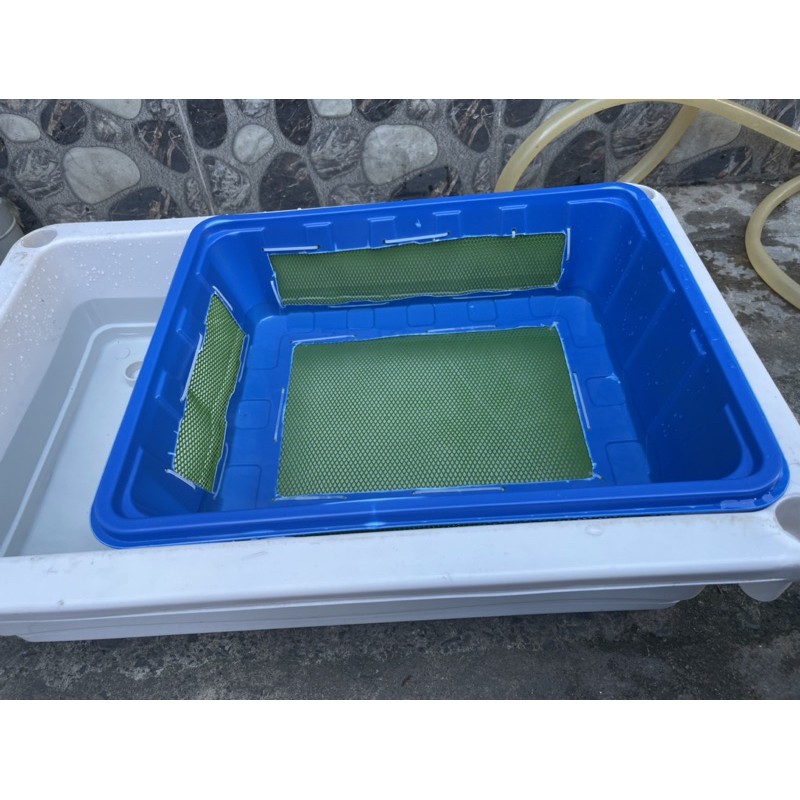 Khay lồng đẻ cho cá Bảy Màu lưới 3 li KT 45x34x12cm