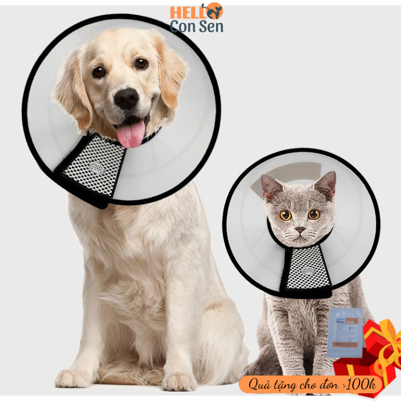 Vòng Chống Liếm Loa đeo cổ cho chó mèo Cho Chó Mèo chăm sóc thú cưng