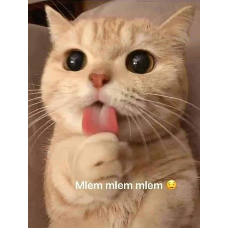 1kg Pate tươi cho pet Mlem Mlem