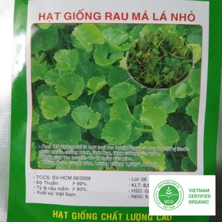 0.5g Hạt giống Rau má (tặng gói Kích nẩy mầm và Hướng dẫn) THUTHUY