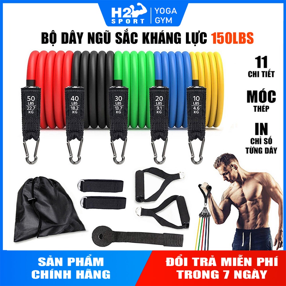 BỘ 5 DÂY NGŨ SẮC KHÁNG LỰC HỖ TRỢ TẬP GYM ĐA NĂNG CAO CẤP