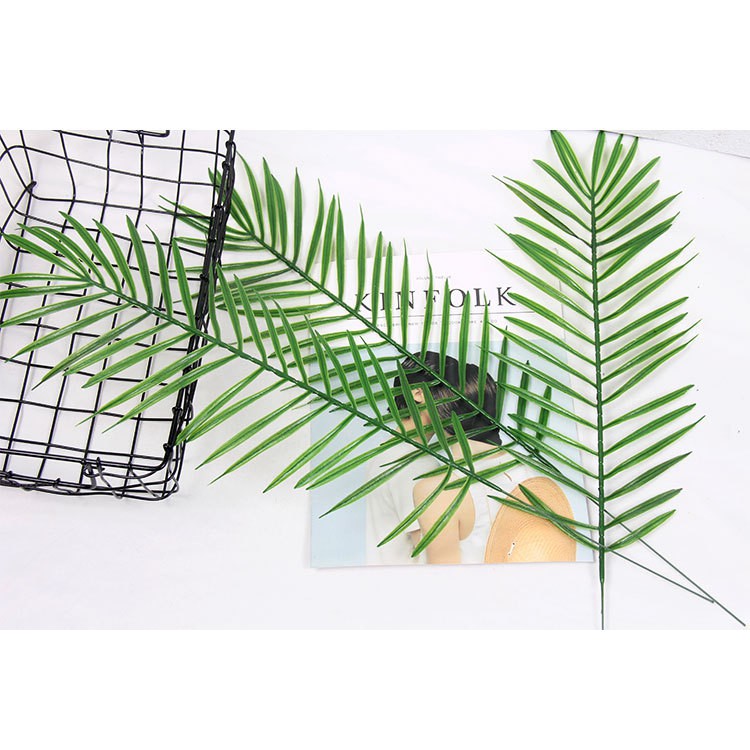 Lá nhựa chụp ảnh