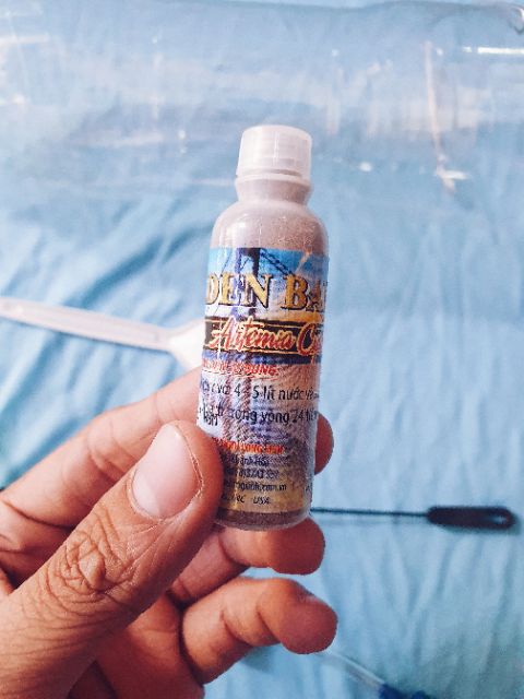 COMBO BỘ ẤP ARTEMIA CÓ BÌNH VÀ 10G ARTEMIA ẤP MỸ GOLDEN BAY