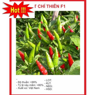 Hạt Giống Ớt Chỉ Thiên Siêu Cay 20 HẠT