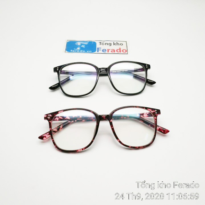 Gọng kính cận mã LD2433_148