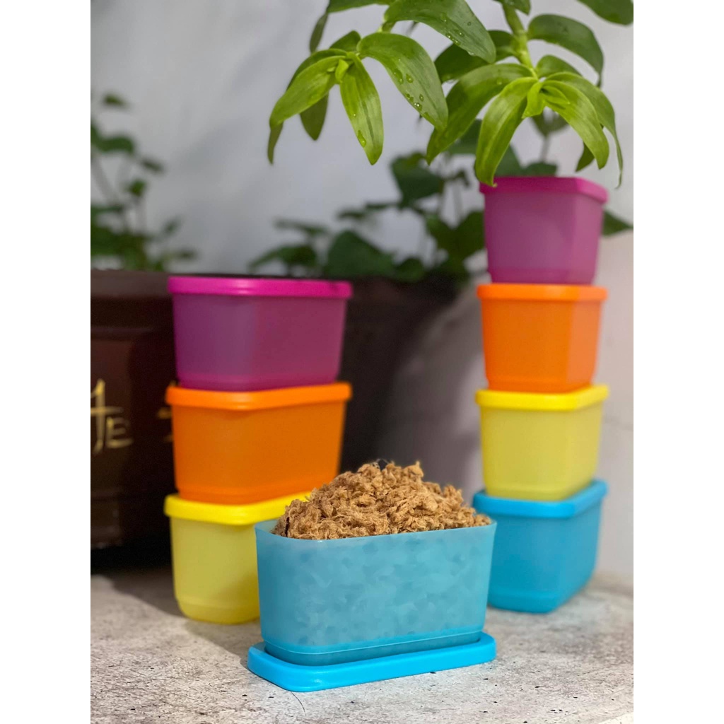 BỘ HỘP MINI RECTANGULAR 250ML (4)