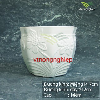 Chậu nhựa trồng hoa, chậu cầu vồng, trồng cây, hoa kiểng, cây cảnh nội thất, phi 17cm - vtnongnghiep