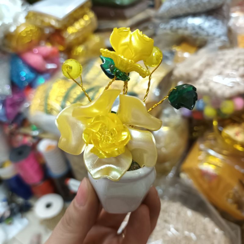 Chậu gốm sứ bình bông mai mini xinh xinh để bàn hút may mắn