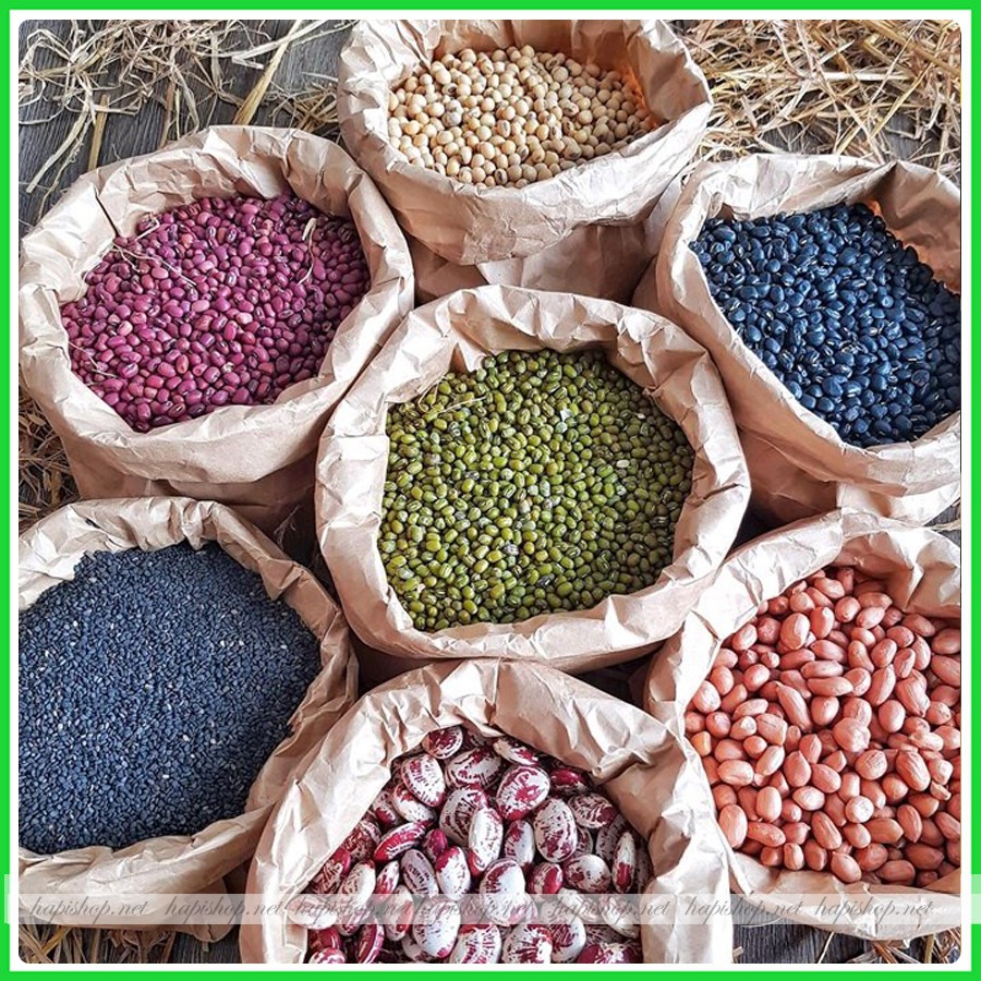 Đậu Xanh và Các Loại Đậu Khác 100g, Đậu Làm Giá Đỗ, Nấu Chè