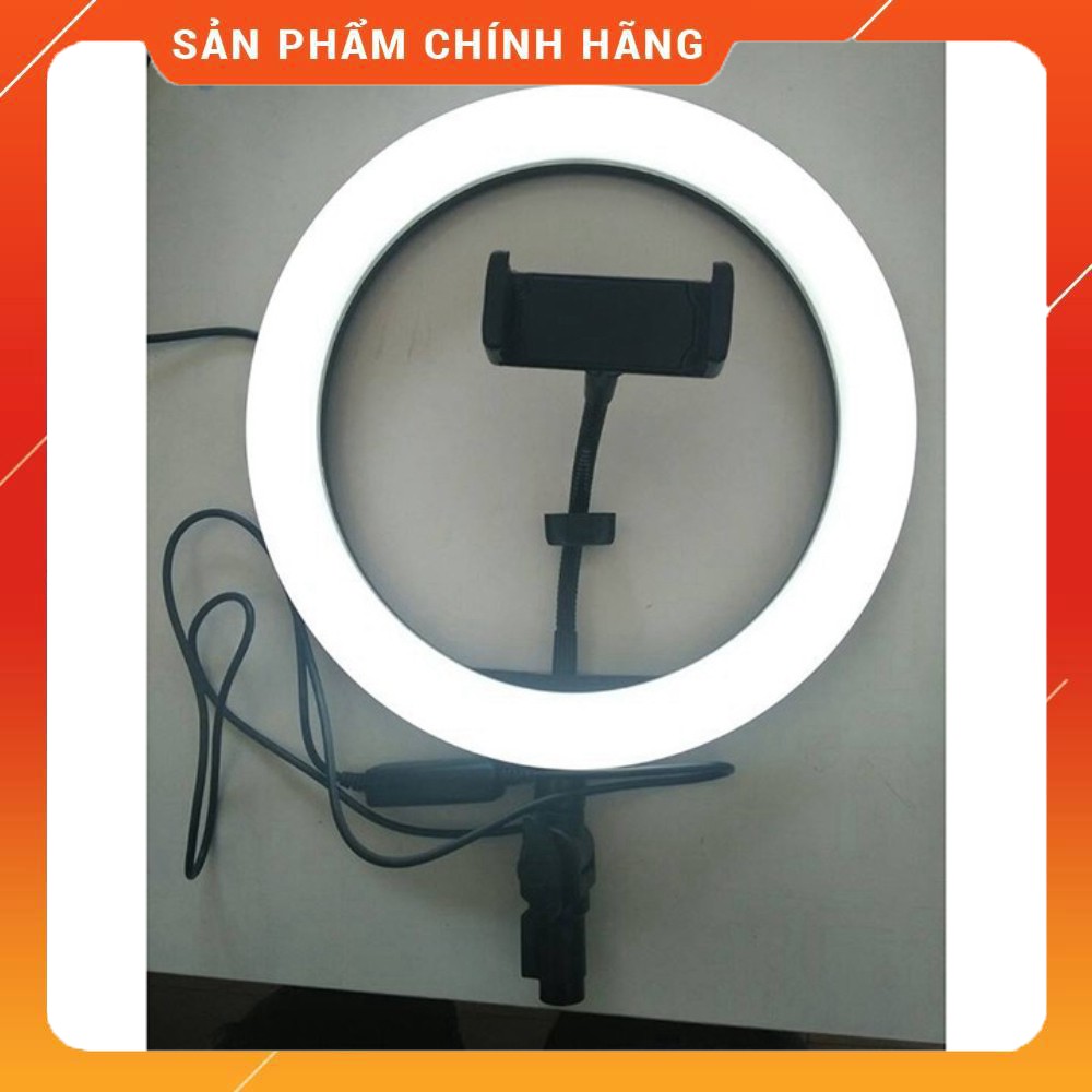 Bộ live stream cỡ lớn 26cm