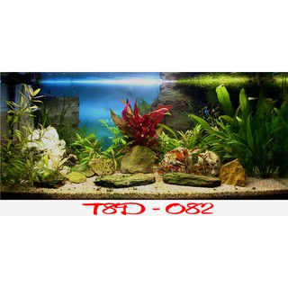 Tranh 3D bể cá mã T8D-082 kt (60,80,90,100,1m2,1m5,1m6)