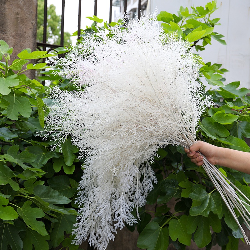 Hoa tuyết nhiều màu trang trí nội thất, cành thông lá nhỏ chup ảnh, decor.
