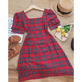 Kẹp nhíp con/thẳng bằng inox dài 30 cm chống rỉ sét