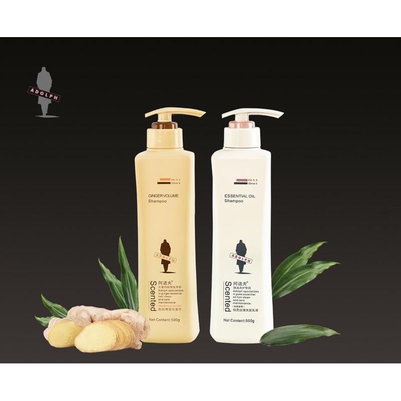 Combo dầu gội xả ngăn rụng tóc Adolph