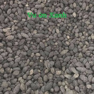 Combo 05 Túi Phân Dê 20cm Đã Xử Lý, ủ trichoderma, đóng Túi Lưới 20cm