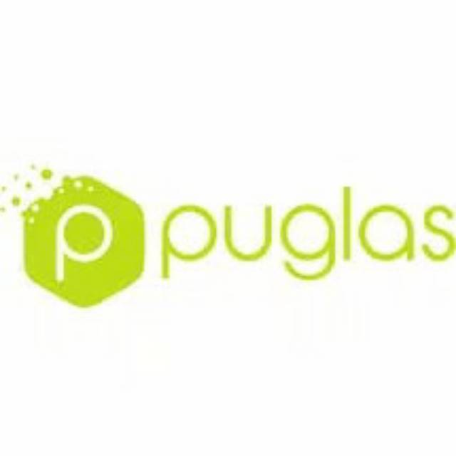 puglasstoreskz.vn
