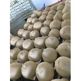 dừa xiêm gọt vỏ Bến Tre (giao liền 1h) | BigBuy360 - bigbuy360.vn