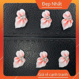 Hoa bột vẽ dán móng hoa ôm đá hàng vẽ sẳn