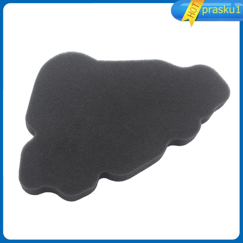 Bộ Lọc Khí Thay Thế Cho Xe Scooter 125 2000-2003 Prasku1