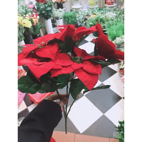 Cây giả- Cây Trạng Nguyên Size đại