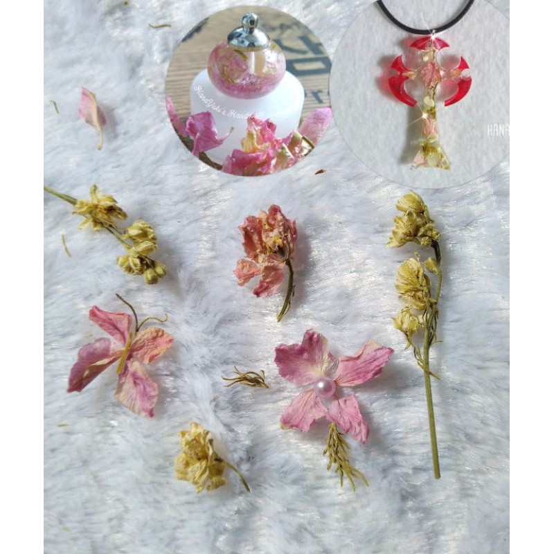 Hộp/bó Hoa Khô Larkspur dùng trong Handmade Resin ( vui lòng xem kỹ)