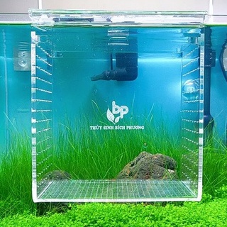 Box chứa cá tép acrylic có nắp đậy - tách cá tép sinh sản - hộp đựng trong suốt