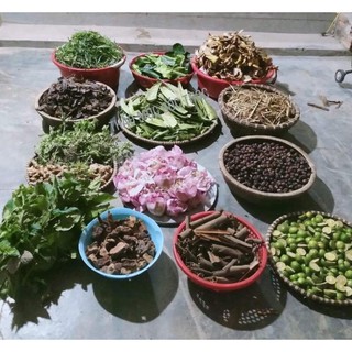 dầu gội thảo mộc sóc thóc