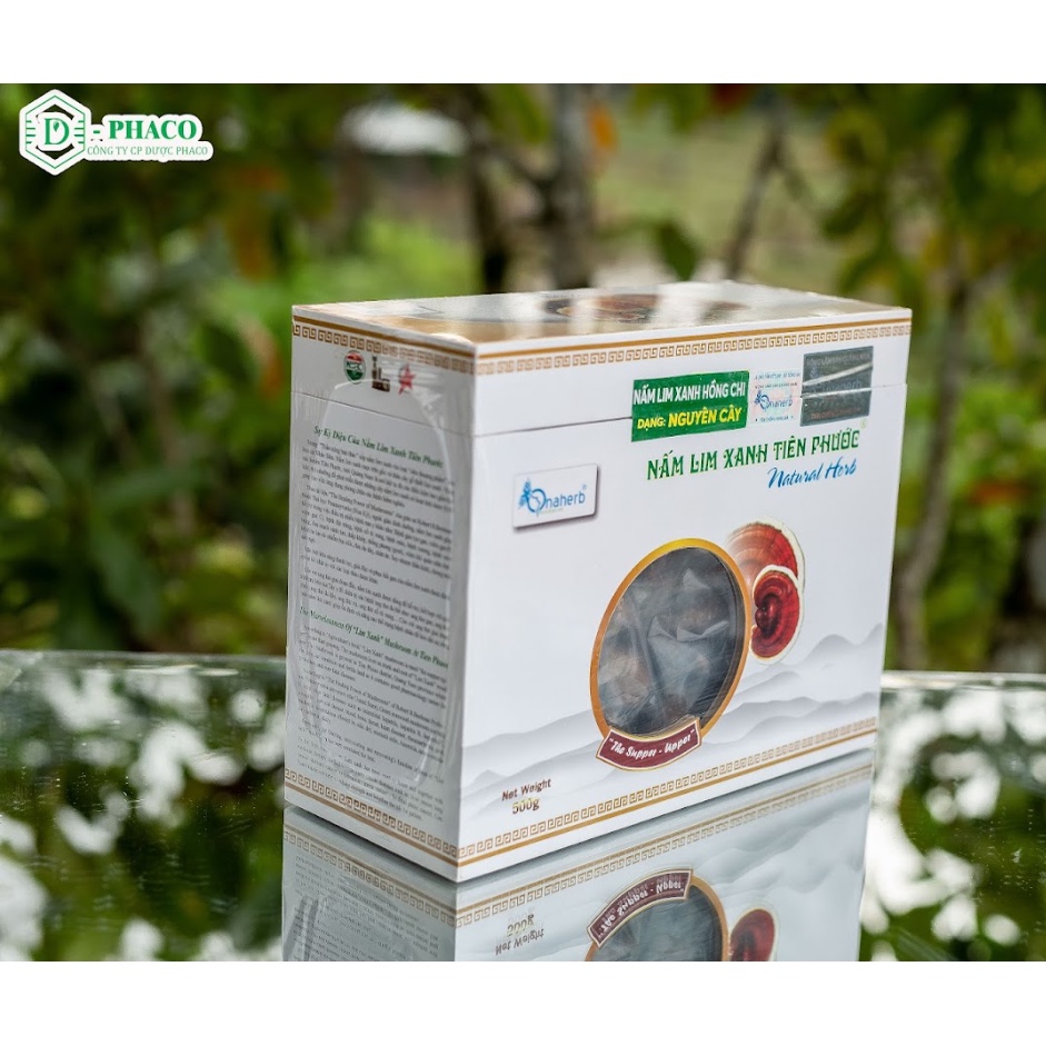 Nấm Lim Xanh nguyên cây 500 gram