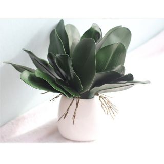 Gốc lá hoa lan trang trí