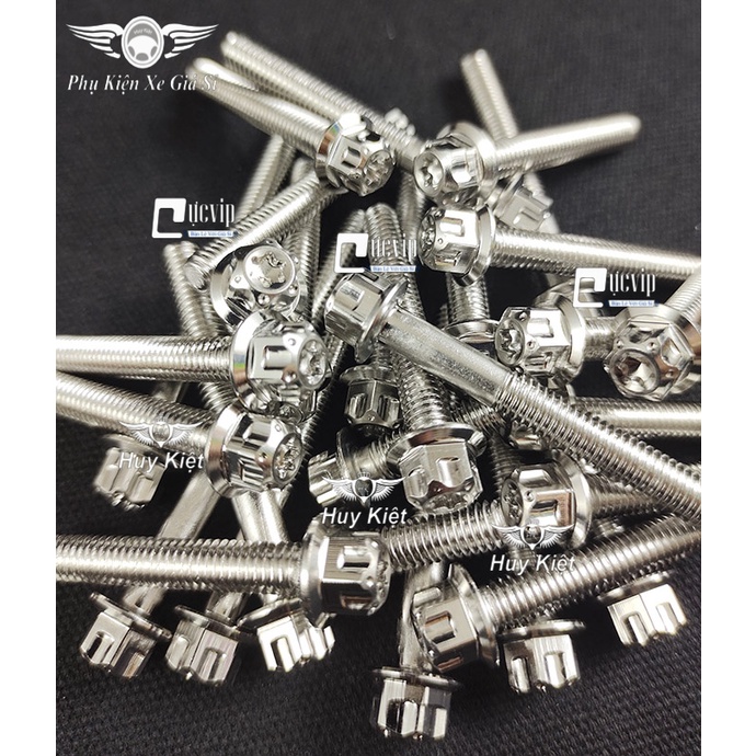 Bộ Ốc Lốc Máy Salaya Inox 304 Cho Winner X, Winner V1 (24 Con) MS4908