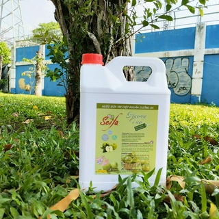[Xà phòng] Nước Rửa Tay diệt khuẩn Seifa Can 5 Lít