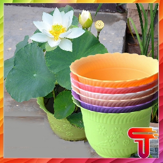 CHẬU TRỒNG HOA CÂY CẢNH NHỰA HÌNH TRÒN T3B3