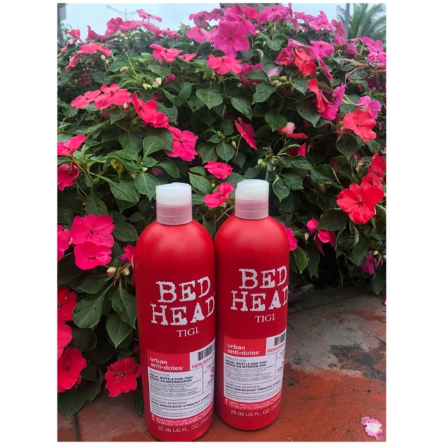 Dầu gội TIGI ĐỎ