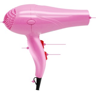 Máy Sấy Lông Chó Mèo Công Suất 1000w