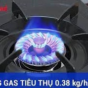 [Hàng chính hãng]Bếp gas đôi 6 tấc Rinnai RV-365(G)N