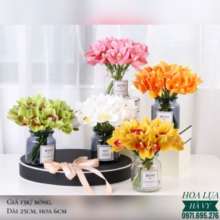 Hoa lụa | địa lan nhí