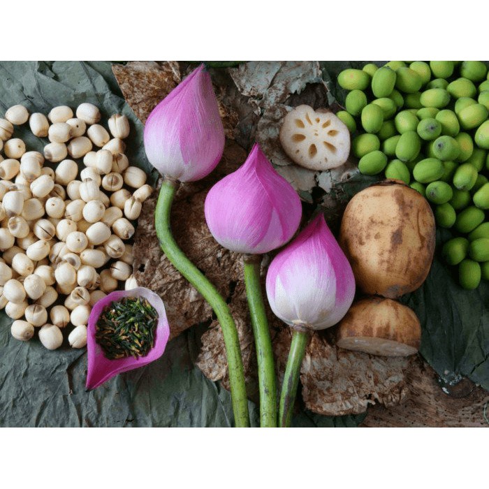 Hạt Sen Sấy Khô Túi100Gram  200 Gram - THE GARDEN