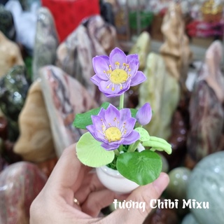 Chậu hoa sen tím bằng đất sét Nhật y hình
