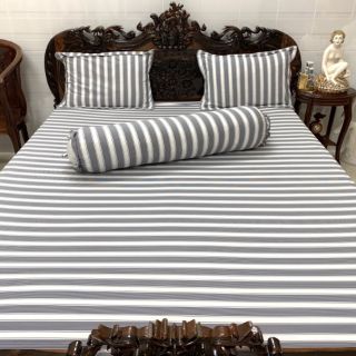 Bộ Drap Thun Hàn Quốc 4 món