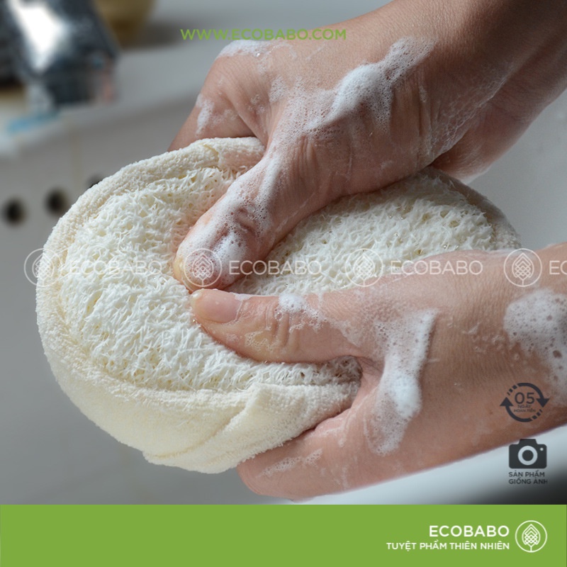 Bông tắm xơ mướp tự nhiên 2 mặt với đệm tạo bọt Ecobabo