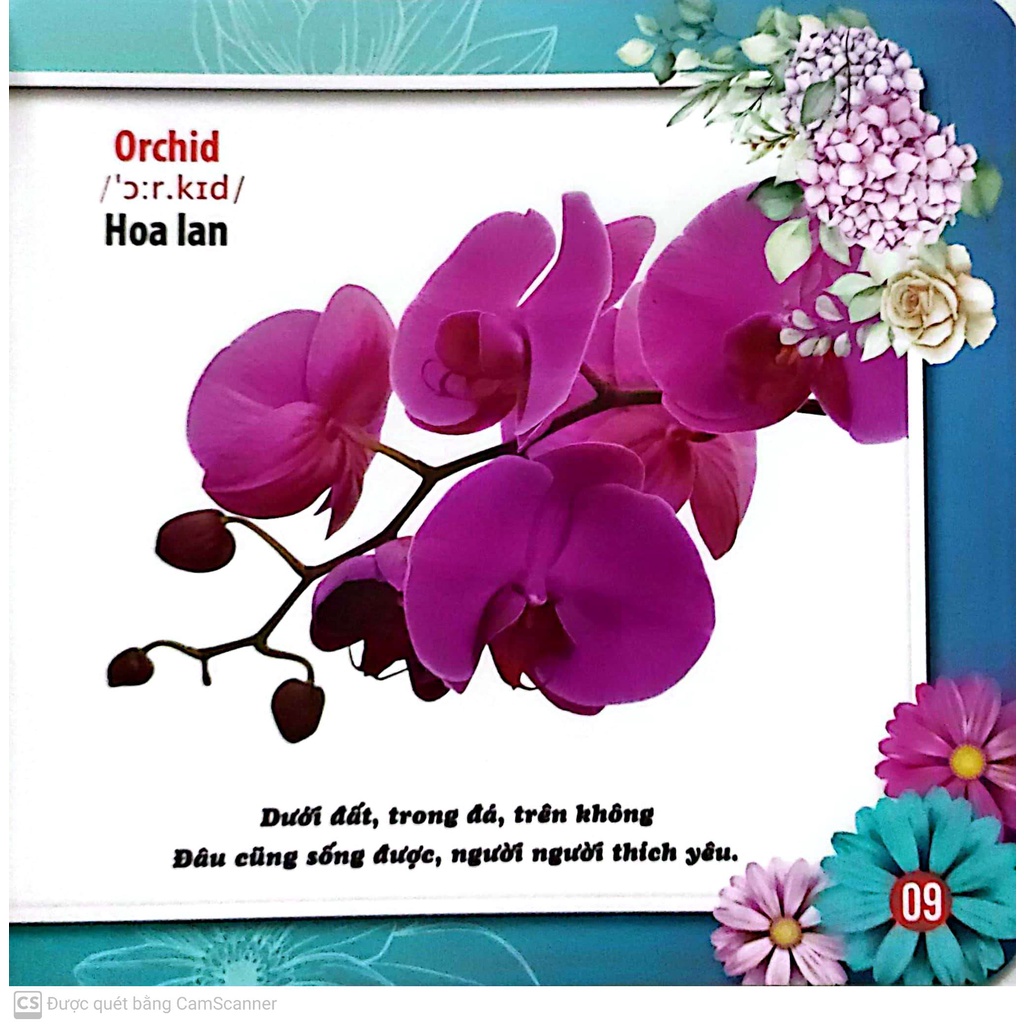 Sách - Cùng Bé Khám Phá Thế Giới Xung Quanh - Hoa - Sách Song Ngữ