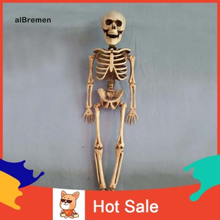 Mô hình bộ xương người trang trí Halloween
