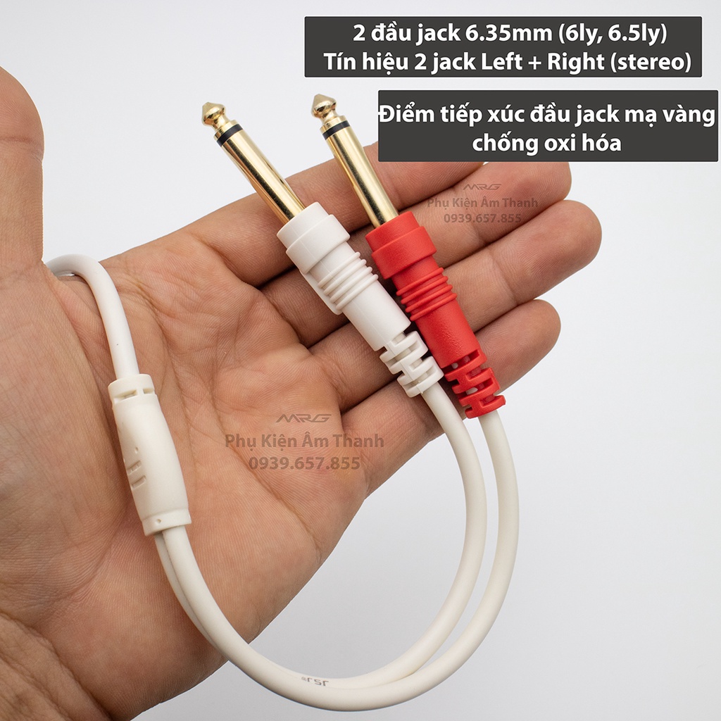 Dây 3.5mm ra 2 đầu 6 ly dài 1.5met. Phát nhạc điện thoại laptop