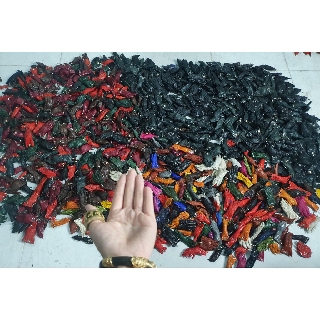 Móc Khóa Bàn Chân Cá Sấu